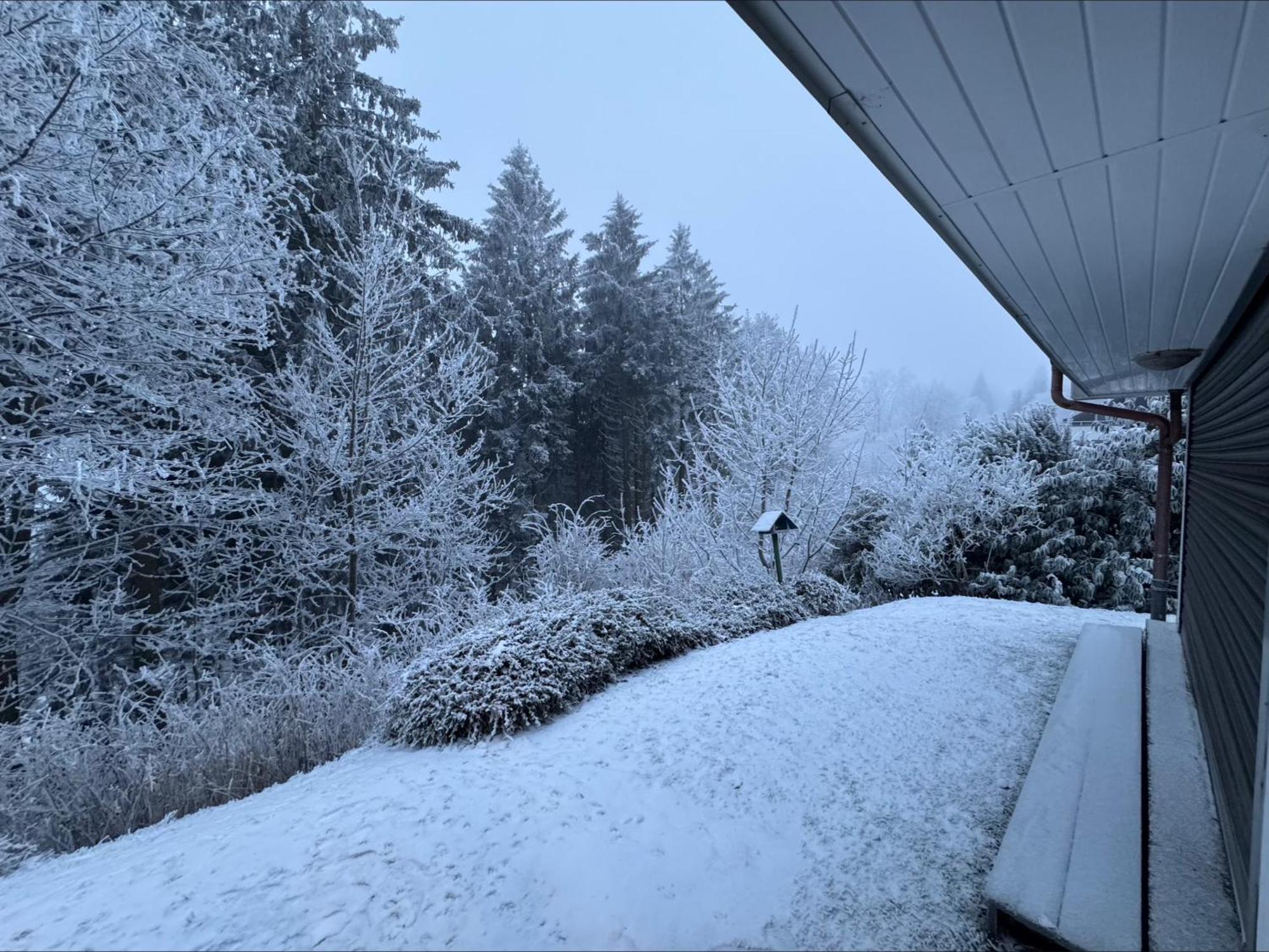 Apartment Maja Unmittelbar An Der Skipiste Winterberg Exterior foto
